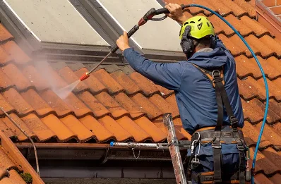 Démoussage et hydrofuge de toiture à Beuil